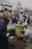 Plantando un árbol